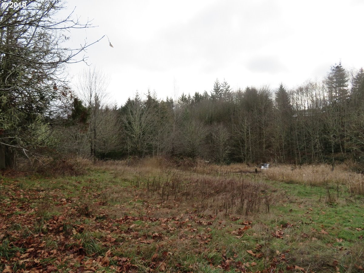 Cousins Road Chehalis, WA 98532 - Photo 32 of 32