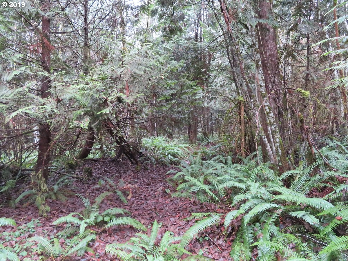 Cousins Road Chehalis, WA 98532 - Photo 5 of 32