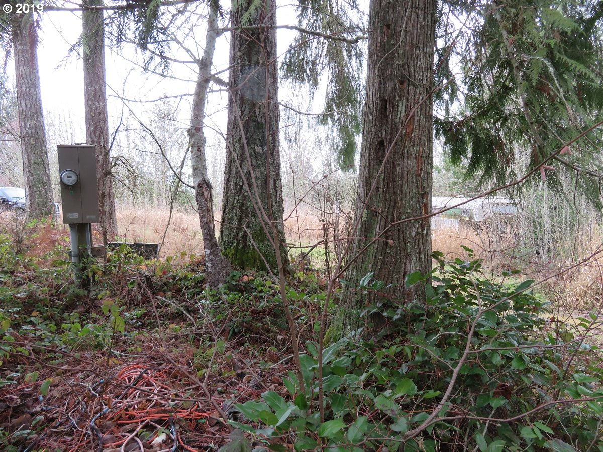 Cousins Road Chehalis, WA 98532 - Photo 9 of 32