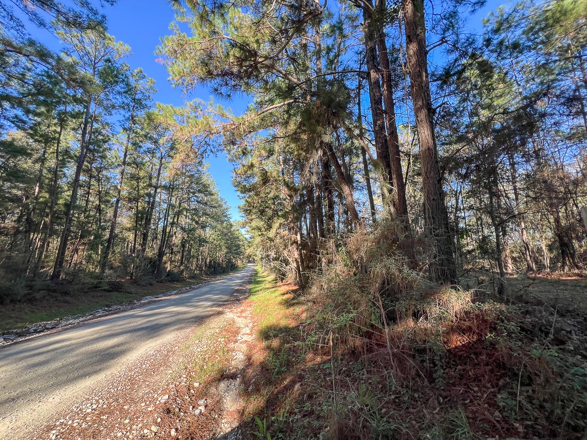 1 Bishop Road Huntsville, TX 77320 - Photo 13 of 13 a view of backyard with green space