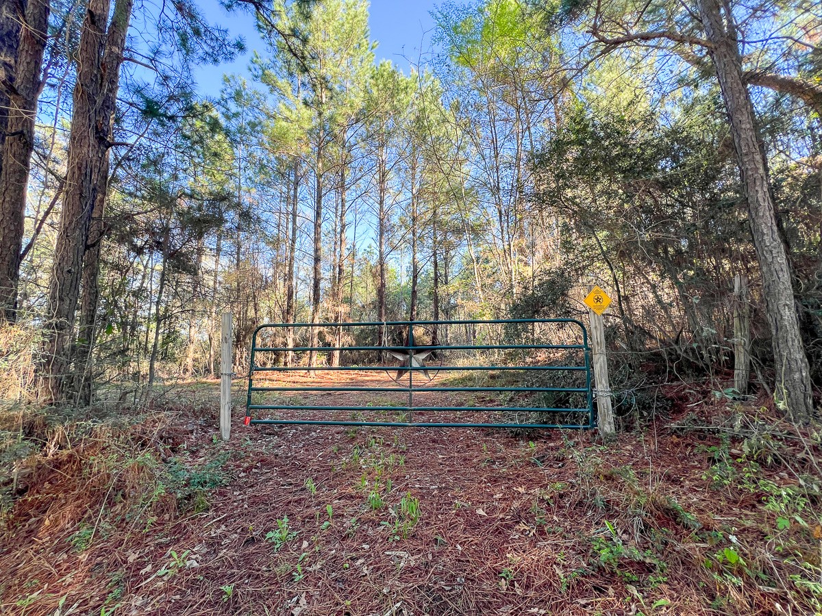 1 Bishop Road Huntsville, TX 77320 - Photo 2 of 13 a view of park with trees