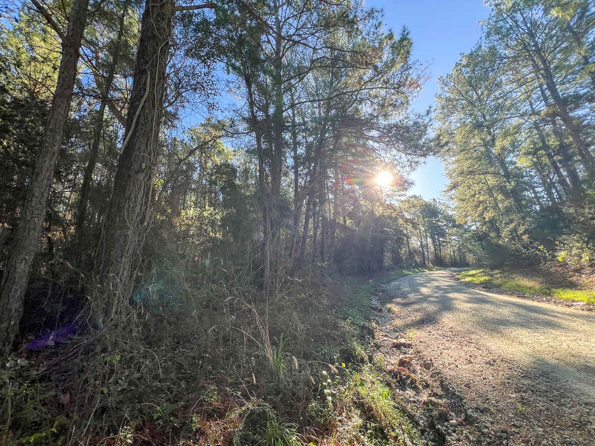 1 Bishop Road Huntsville, TX 77320 - Photo 3 of 13 a view of forest