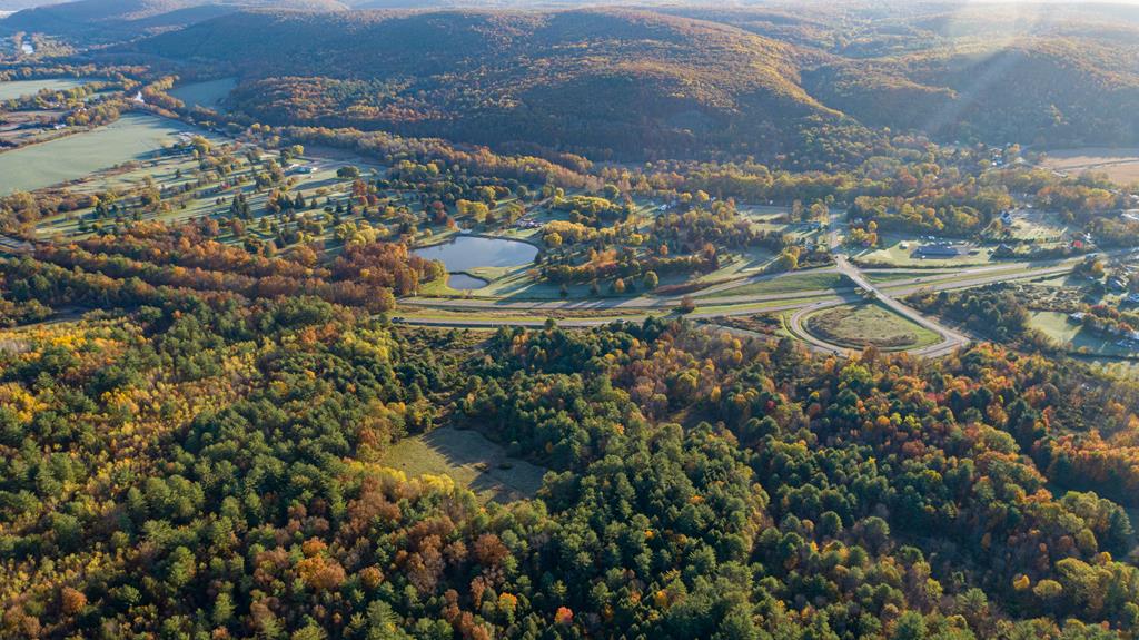 0 County Route 5 Painted Post, NY 14870 - Photo 6 of 7