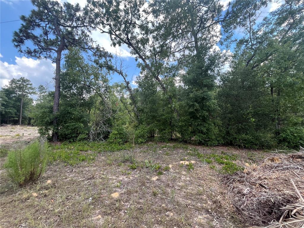 6331 Reed Drive Keystone Heights, FL 32656 - Photo 1 of 1