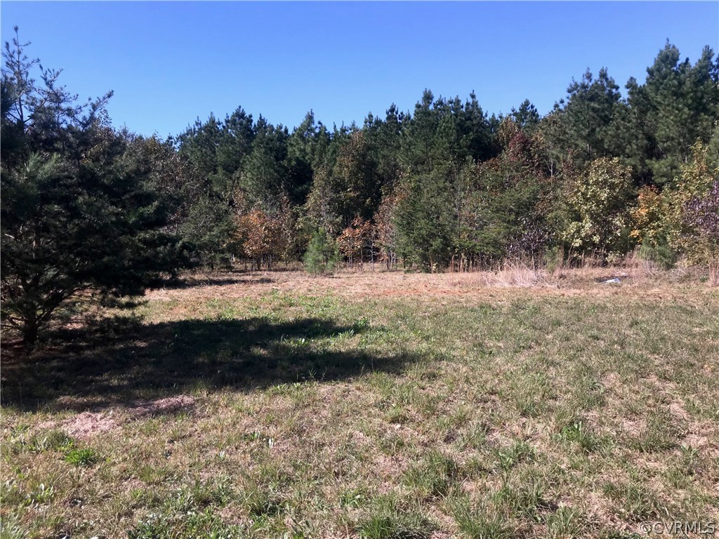 1909 Nursery Road Pamplin, VA 23958 - Photo 2 of 17 Gallery Image 2