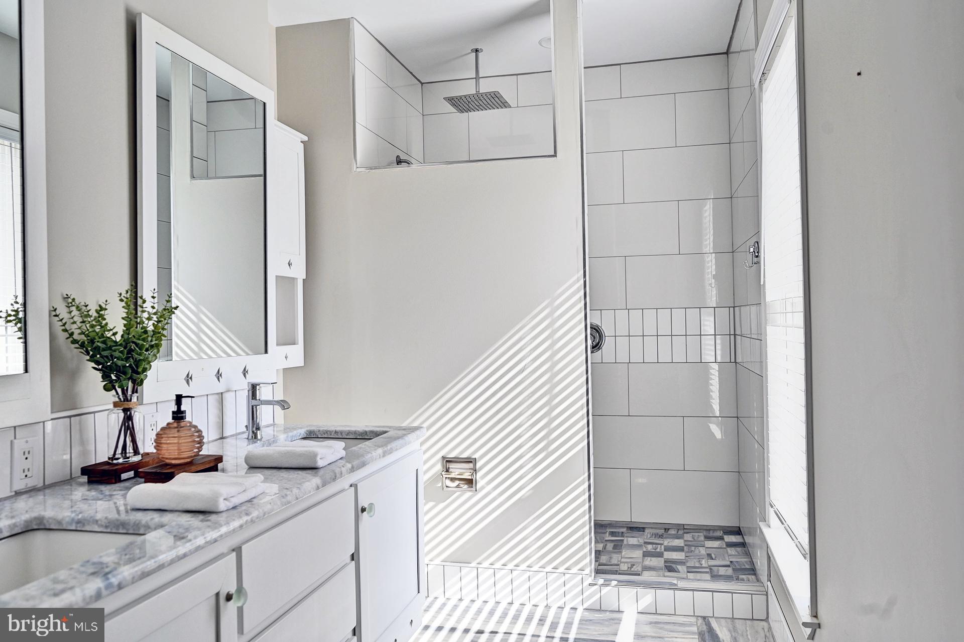 31765 Hickory Manor Road Frankford, DE 19945 - Photo 33 of 53 a bathroom with a sink a mirror and a shower