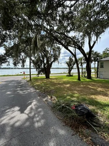 a view of a trees with a yard
