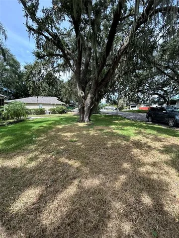 a view of a trees in a yard