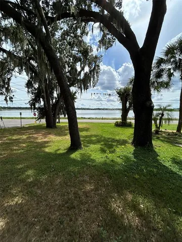 a view of yard with tree