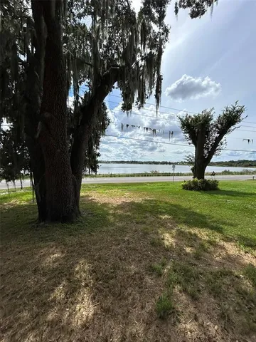 a view of a garden with a tree
