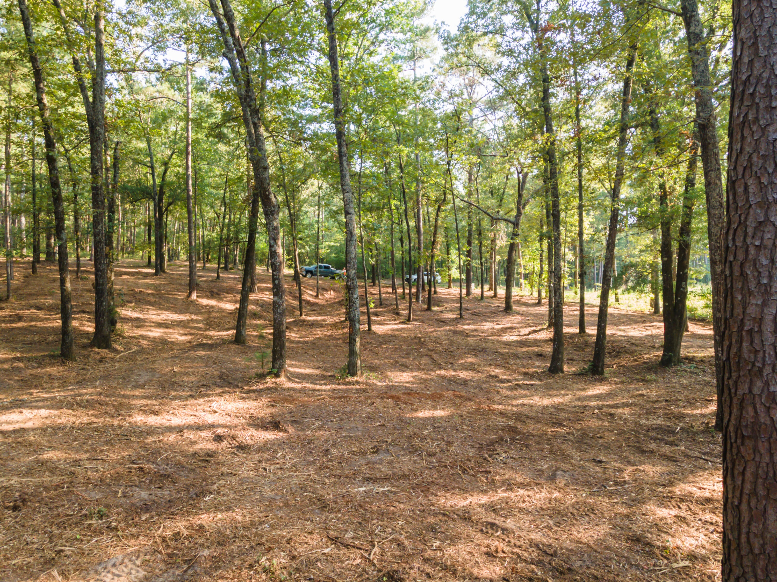 Tbd Edisto Lake Road, Unit 39 Wagener, SC 29164 - Photo 15 of 39 Gallery Image 15