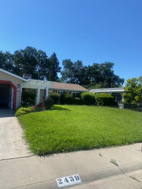 2439 Rhine Way Elverta, CA 95626 - Photo 1 of 1 a view of a garden with lawn chairs potted plants and large tree