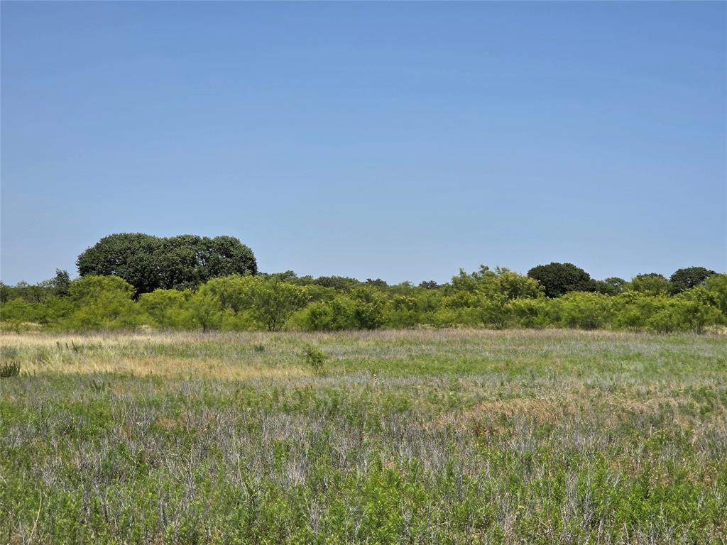1000 County Road 375 Rising Star, TX 76471 - Photo 30 of 40