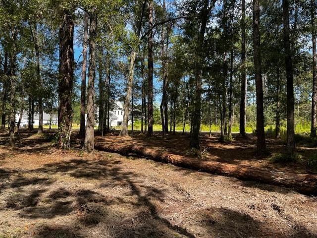 Lot 24 Rue Charlotte Road Covington, LA 70433 - Photo 1 of 4