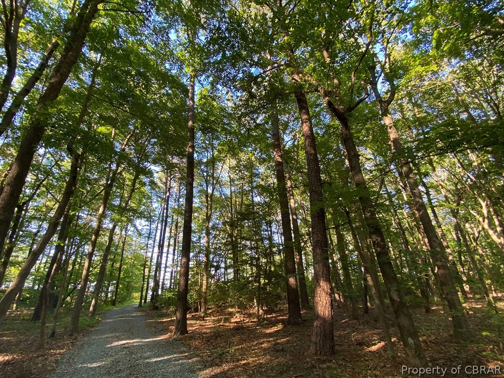 3382 Mob Neck Road Heathsville, VA 22473 - Photo 10 of 33 Gallery Image 10