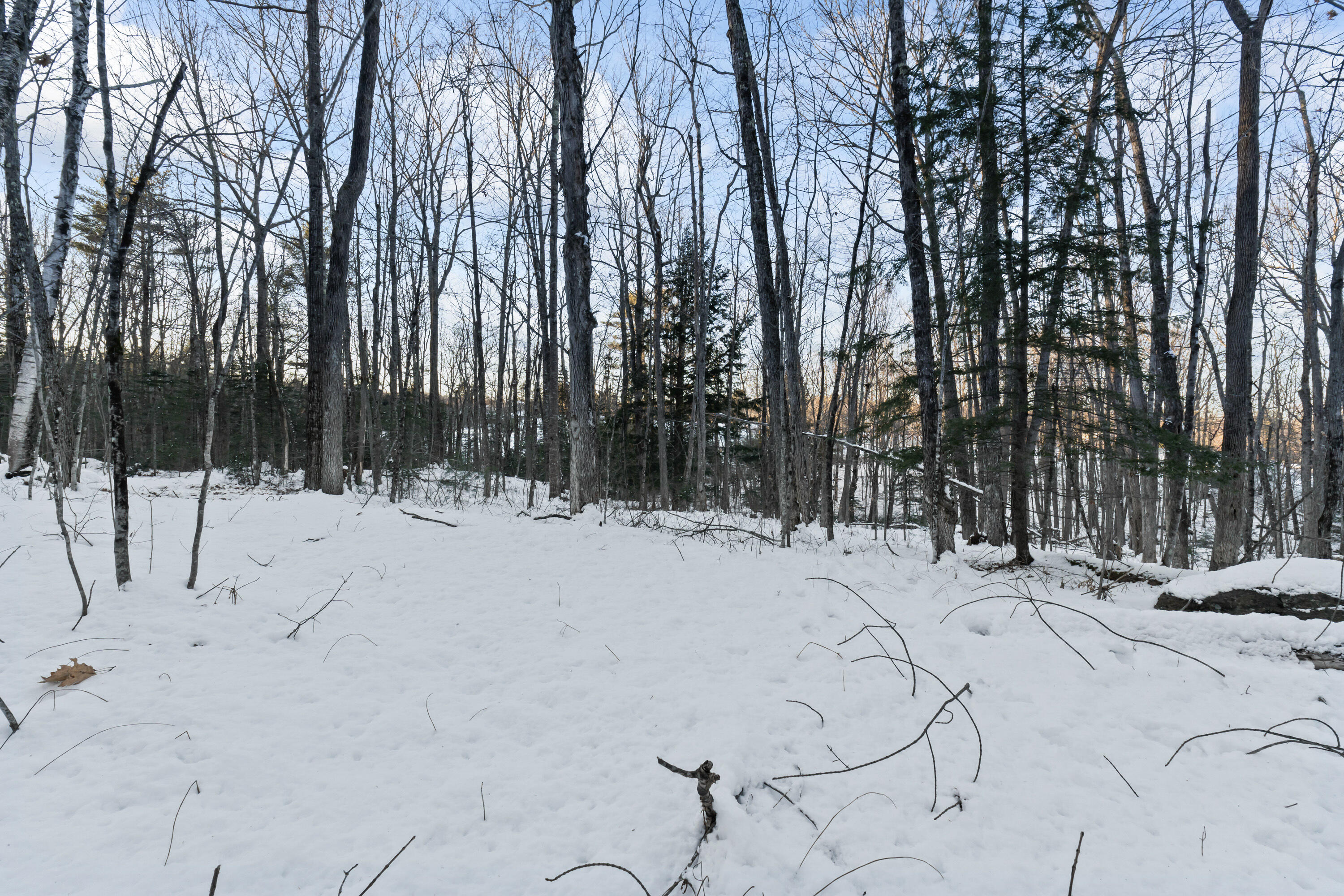 Lot 3-a1 Lot 3-a1 Prescott Road Manchester, ME 04351 - Photo 8 of 29 Lot 3A1 Prescott Rd_109