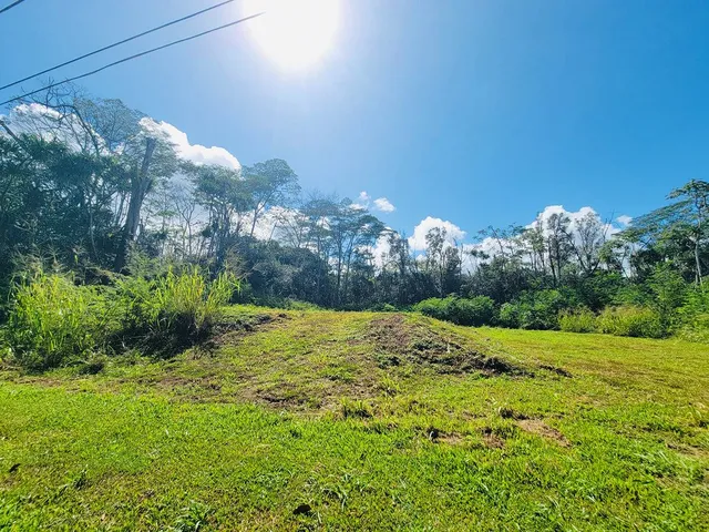 a view of a backyard of a house