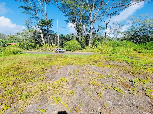 a view of a yard with an trees