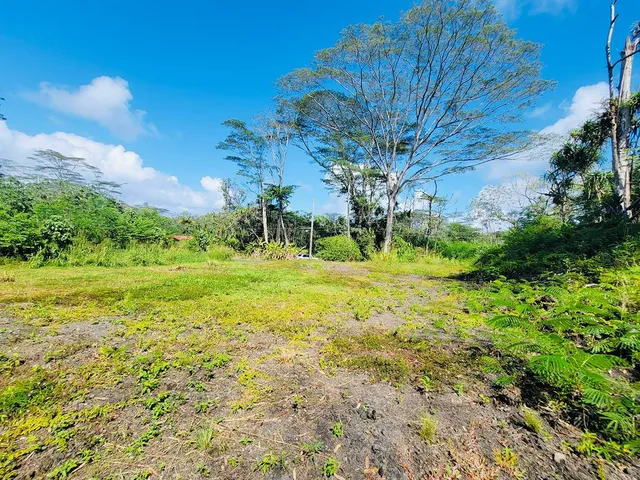 a big yard with lots of green space