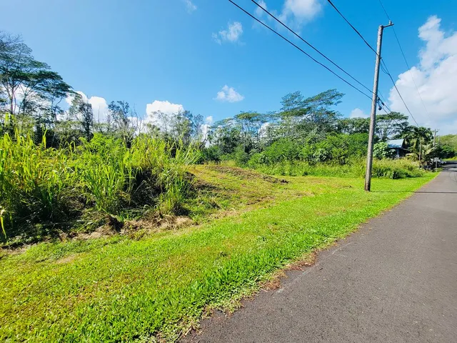 a view of a back yard
