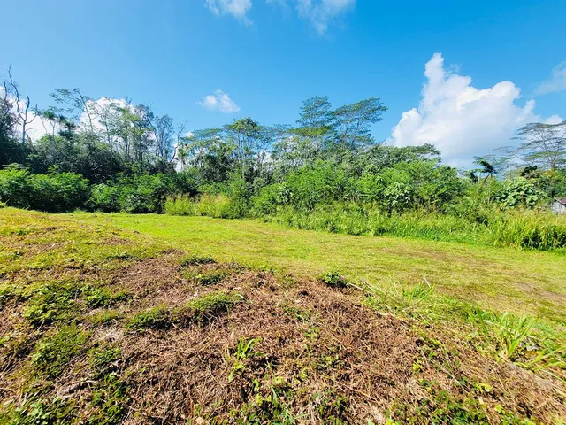 a view of a lake with a yard