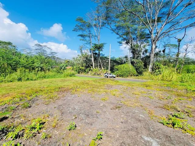 a view of a garden with a house