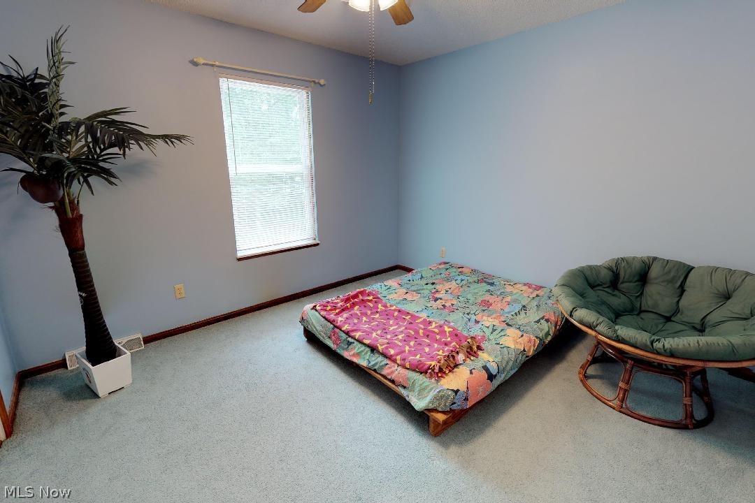 2465 Townline Road Madison, OH 44057 - Photo 18 of 28