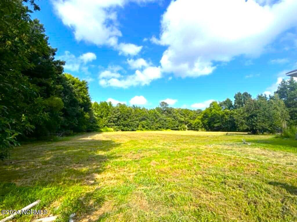 165 Clayhill Road Gates, NC 27937 - Photo 30 of 36 Back Pasture