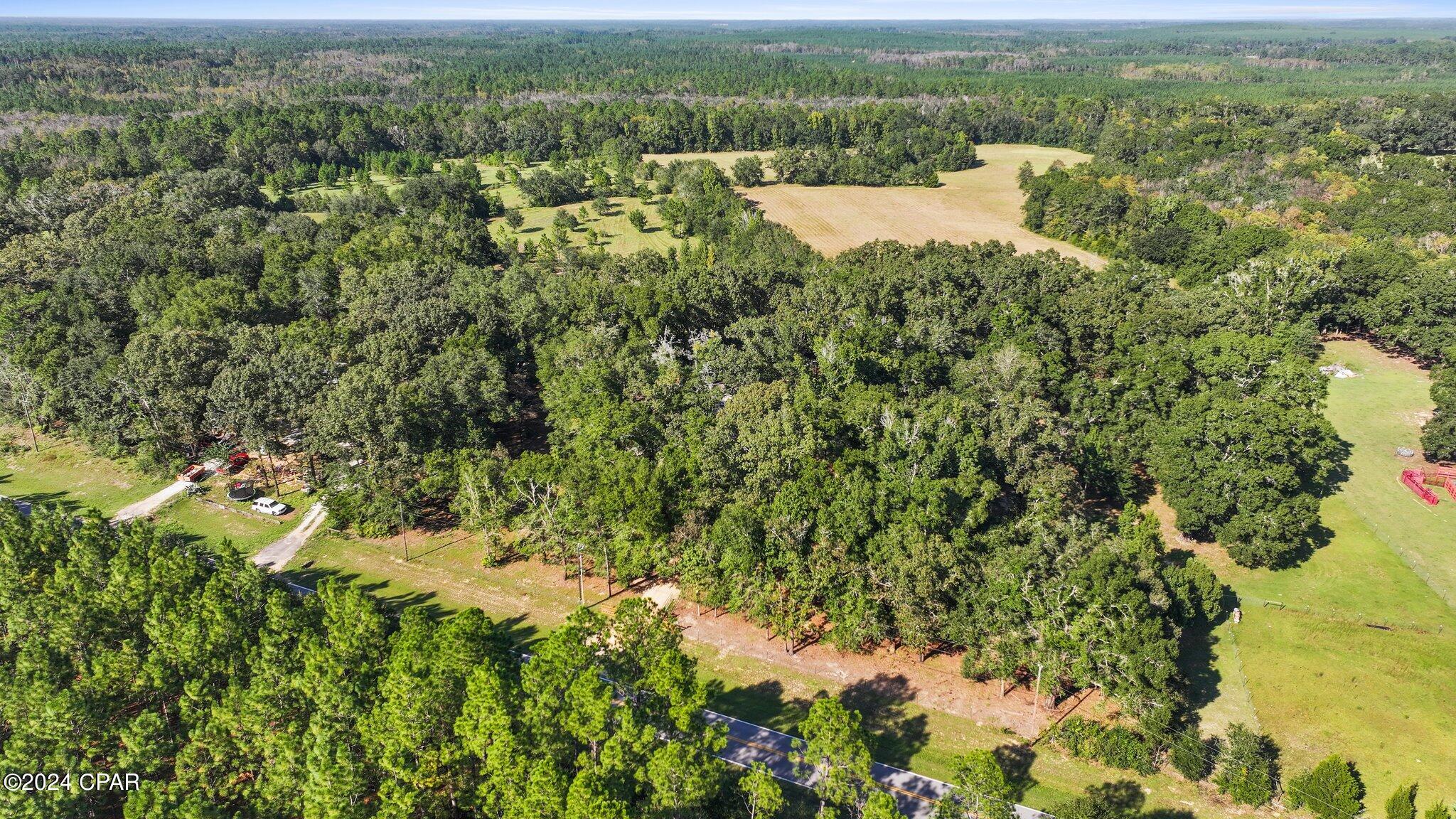 4396 Wilderness Road Vernon, FL 32462 - Photo 54 of 55