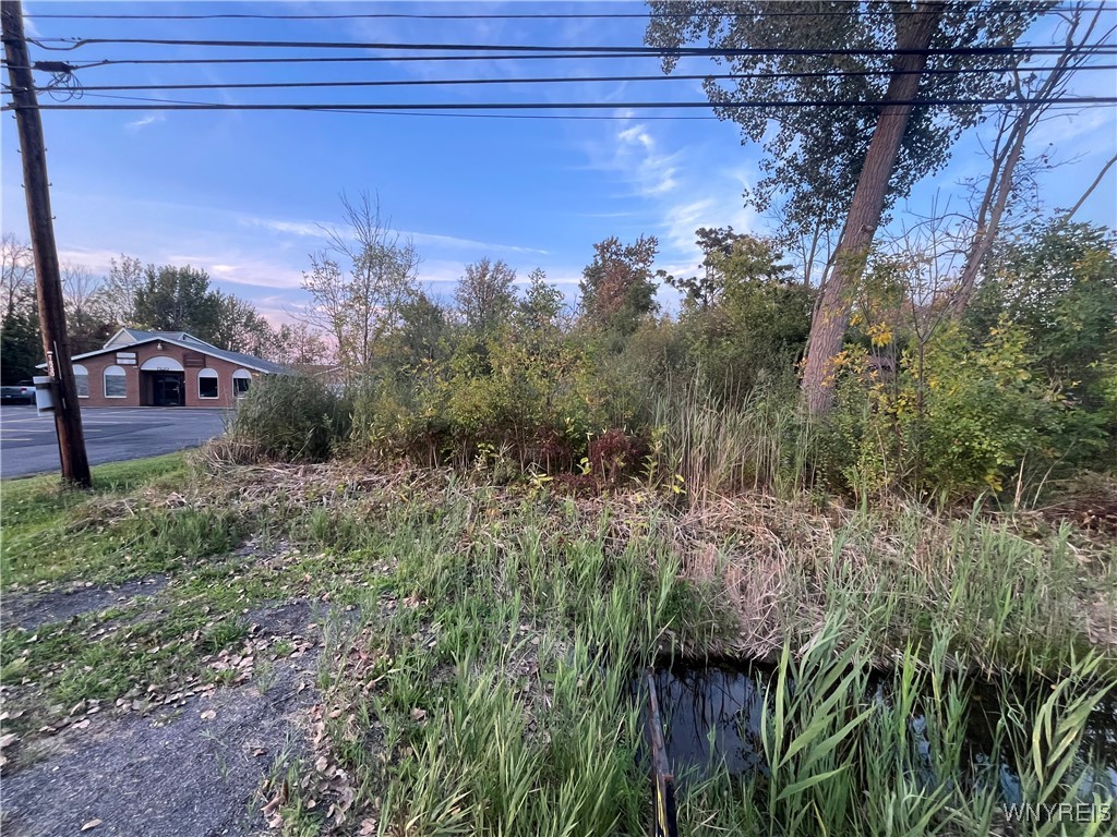 V/l Porter Road Niagara Falls, NY 14304 - Photo 2 of 8