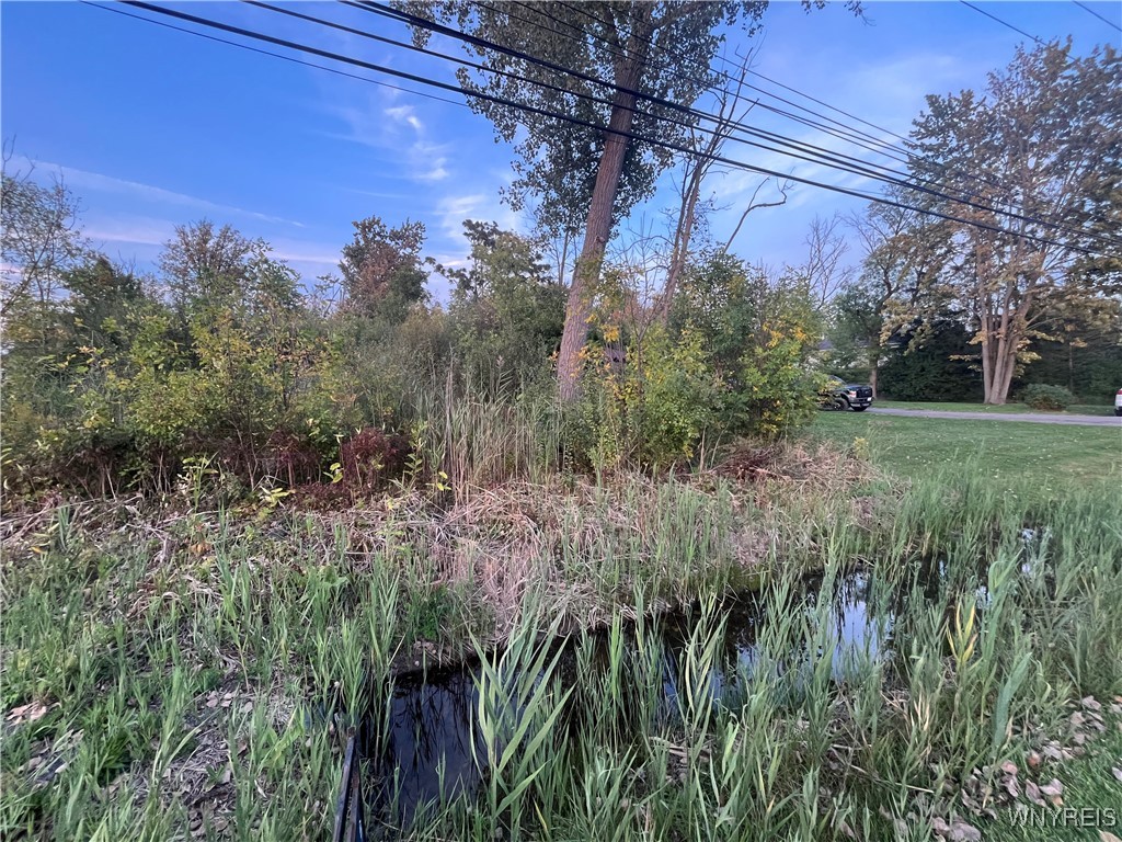 V/l Porter Road Niagara Falls, NY 14304 - Photo 3 of 8