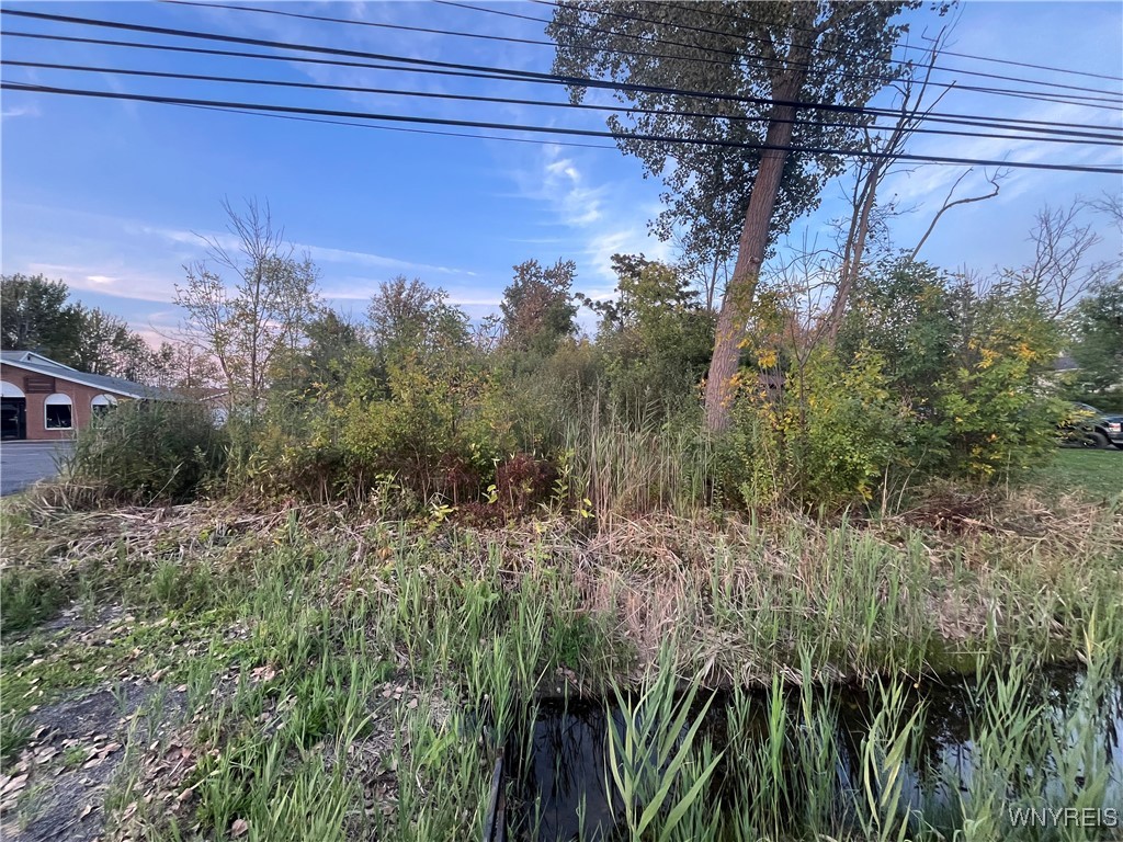 V/l Porter Road Niagara Falls, NY 14304 - Photo 4 of 8