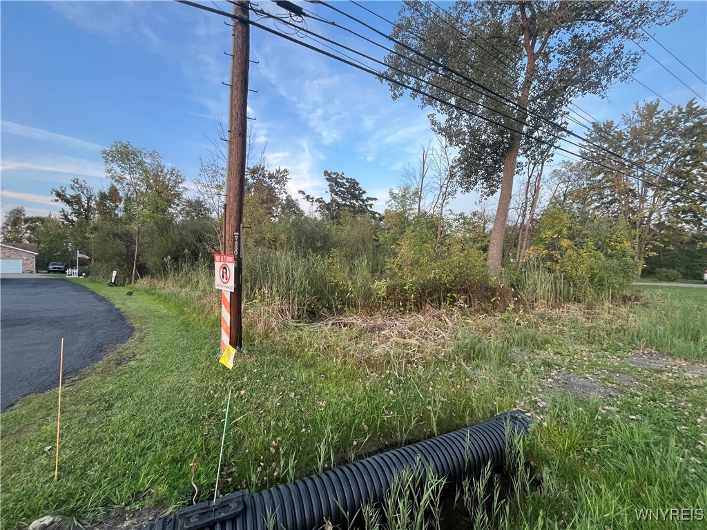 V/l Porter Road Niagara Falls, NY 14304 - Photo 5 of 8