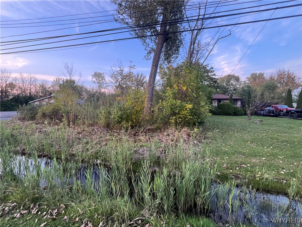 V/l Porter Road Niagara Falls, NY 14304 - Photo 7 of 8