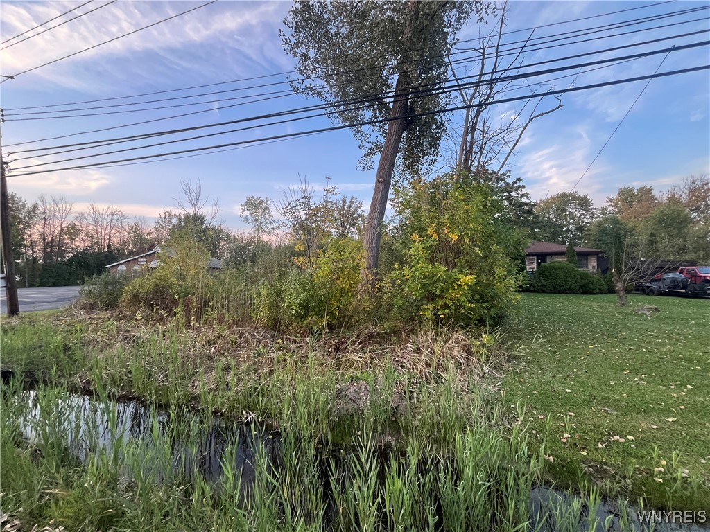 V/l Porter Road Niagara Falls, NY 14304 - Photo 8 of 8