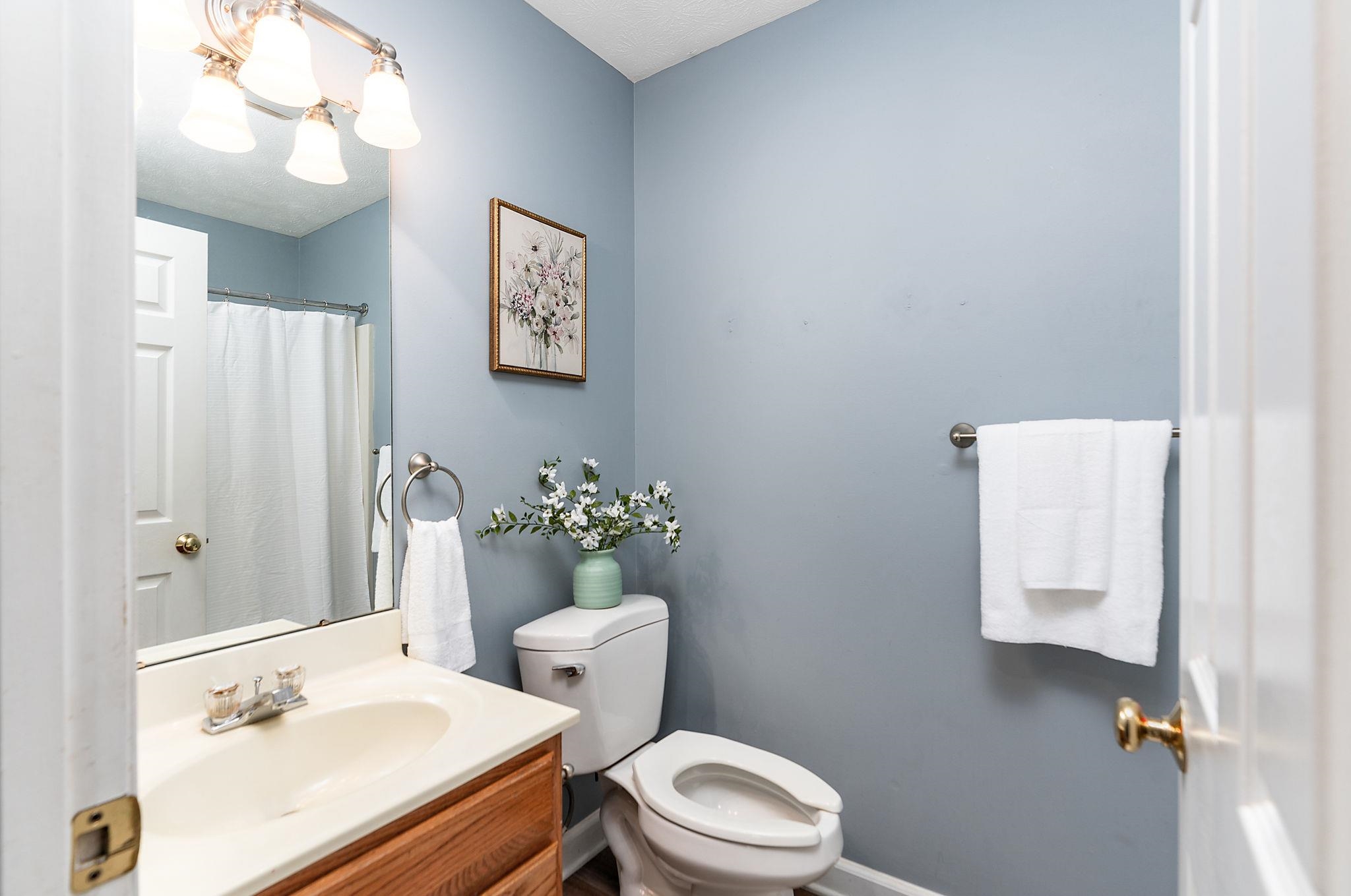 812 New Hope Road Staunton, VA 24401 - Photo 31 of 67 a bathroom with a sink vanity mirror and toilet