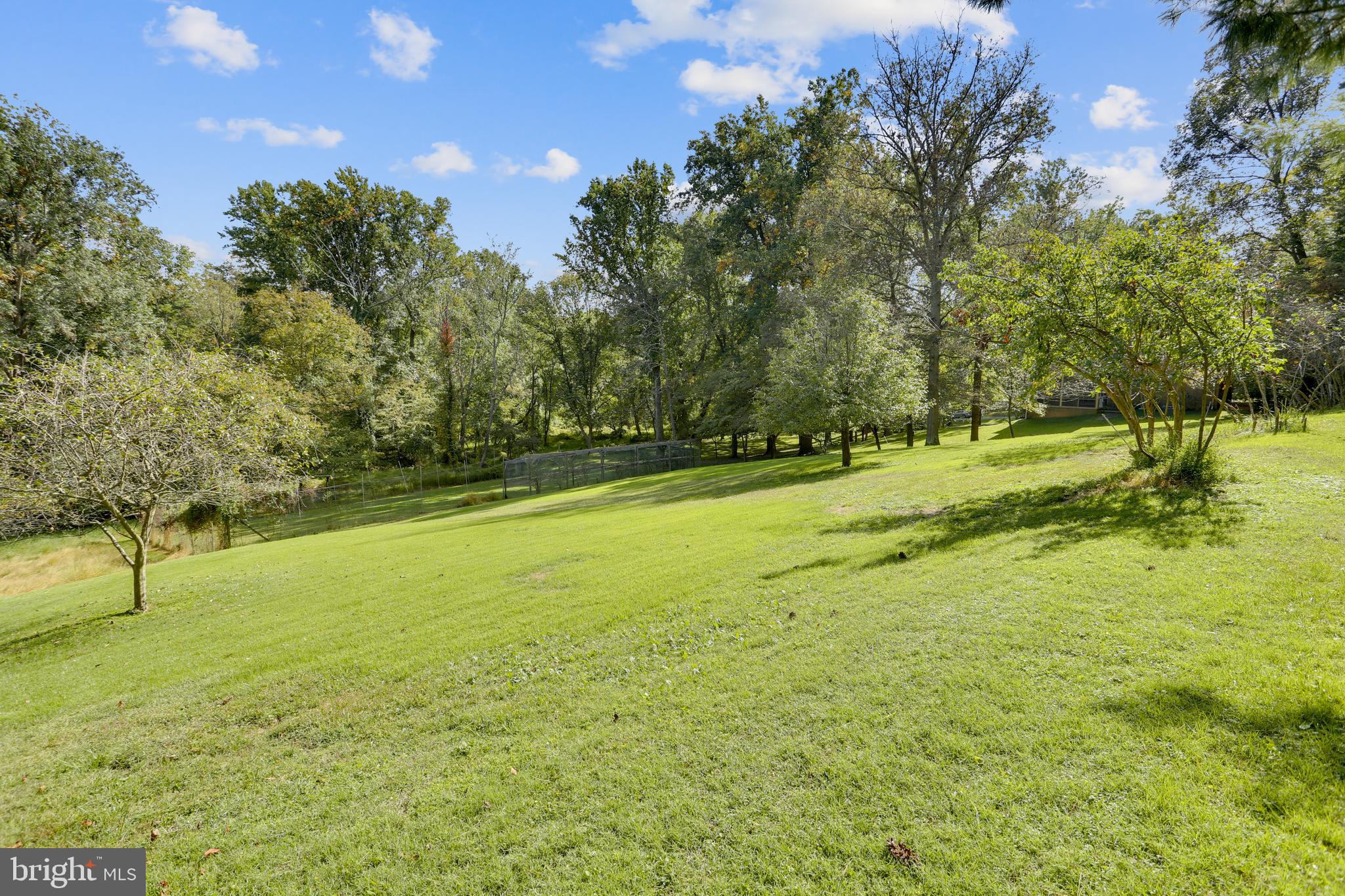 2206 Apple Tree Lane Silver Spring, MD 20905 - Photo 4 of 70 Gallery Image 4