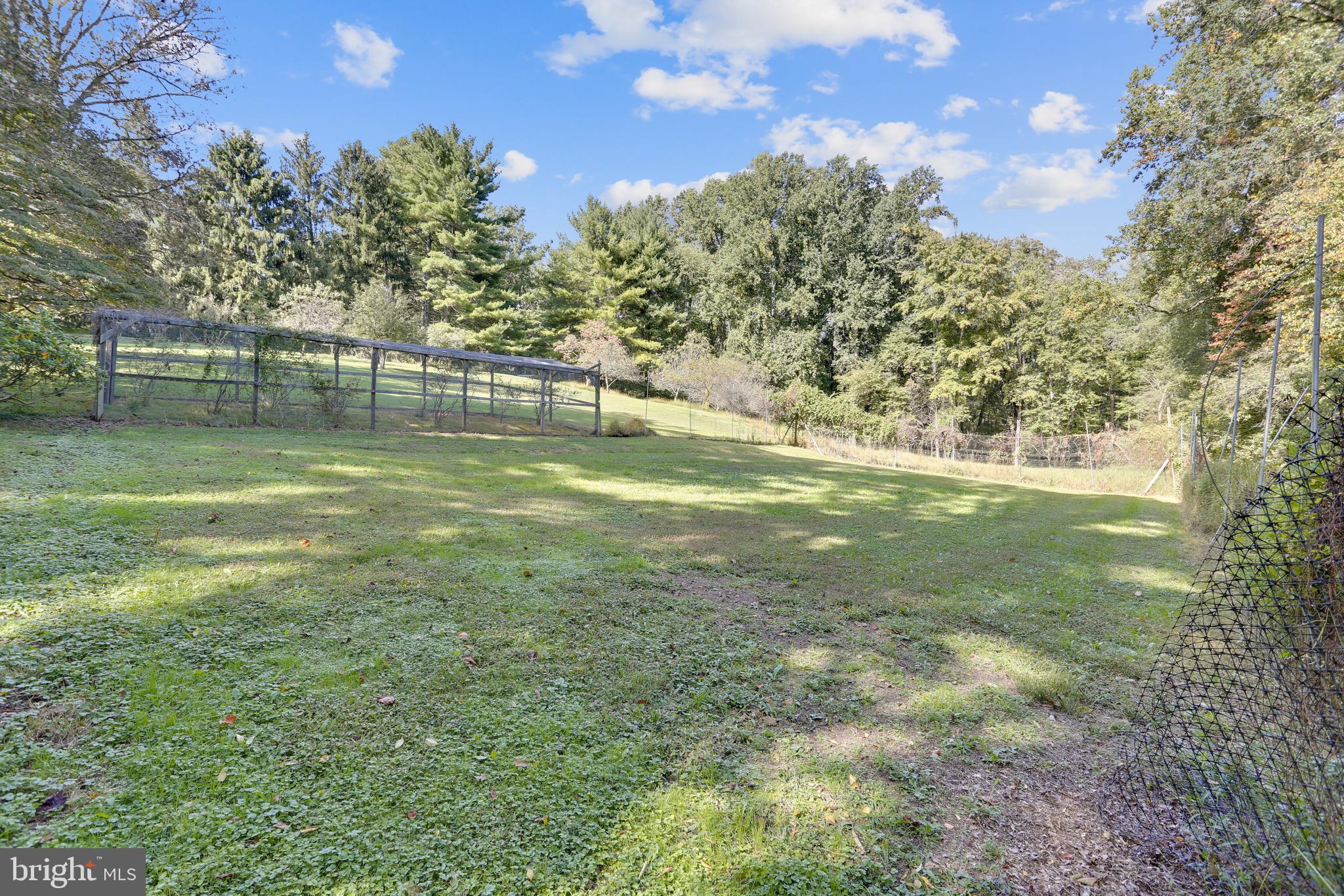 2206 Apple Tree Lane Silver Spring, MD 20905 - Photo 8 of 70 Gallery Image 8