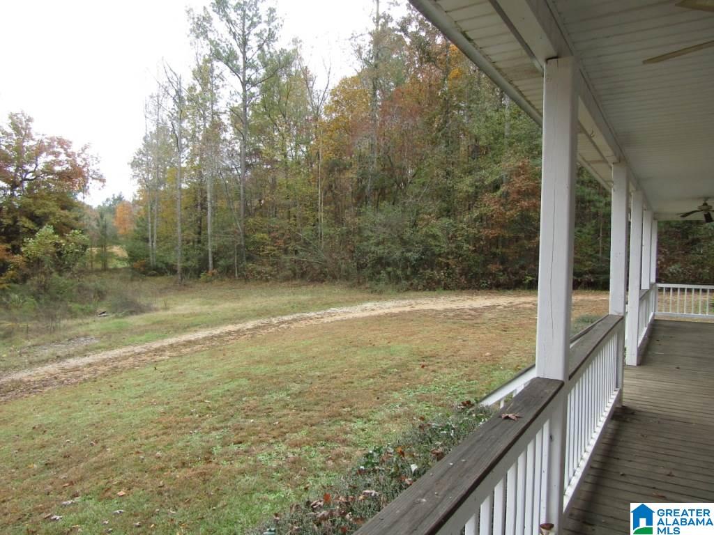 136 Boss Wilkins Drive Pell City, AL 35128 - Photo 19 of 28