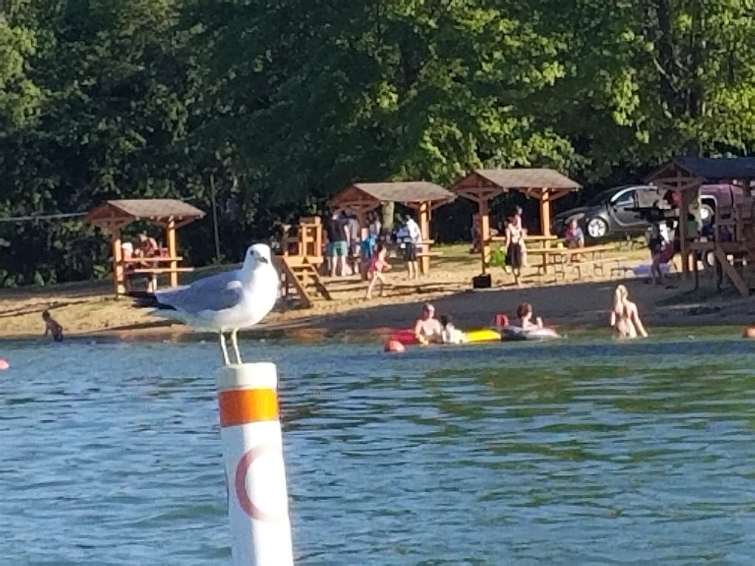257 Lake Summerset Road Lake Summerset, IL 61019 - Photo 9 of 15 swimming pool view with a seating space