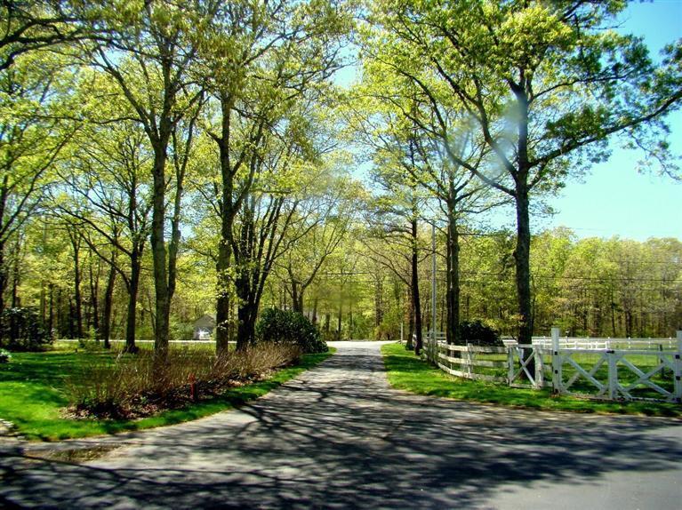 164 Cotuit Road Sandwich, MA 02563 - Photo 34 of 35 Additional Photo