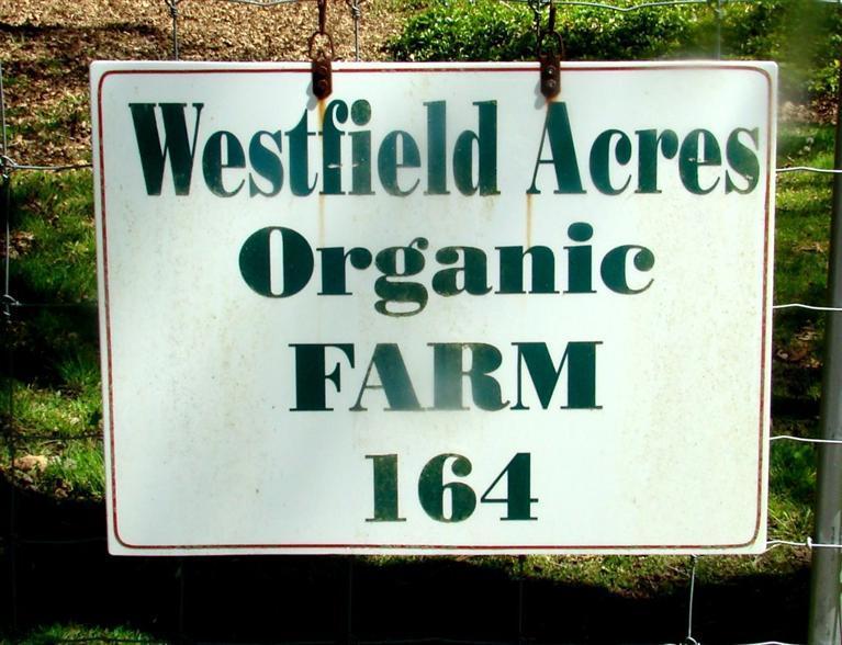 164 Cotuit Road Sandwich, MA 02563 - Photo 35 of 35 Additional Photo