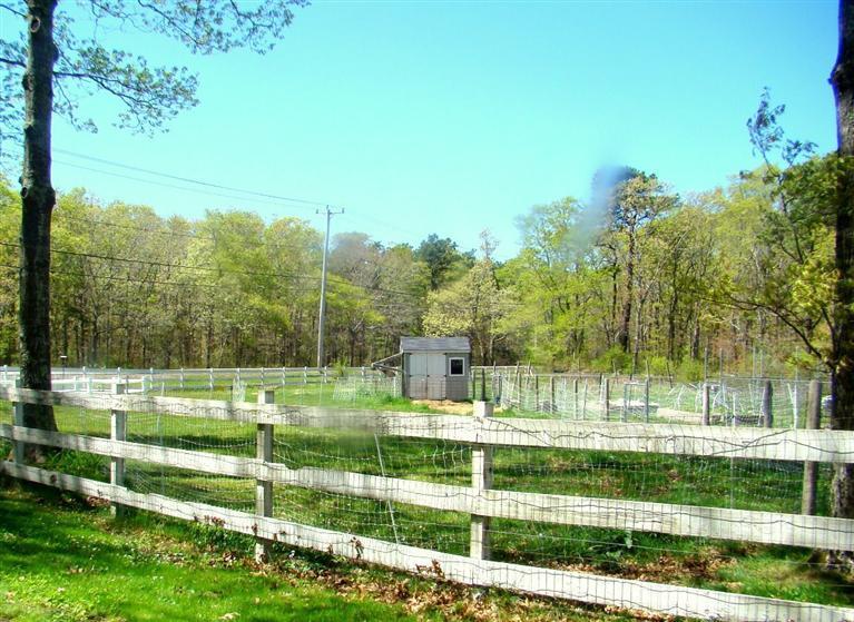 164 Cotuit Road Sandwich, MA 02563 - Photo 10 of 35 Additional Photo