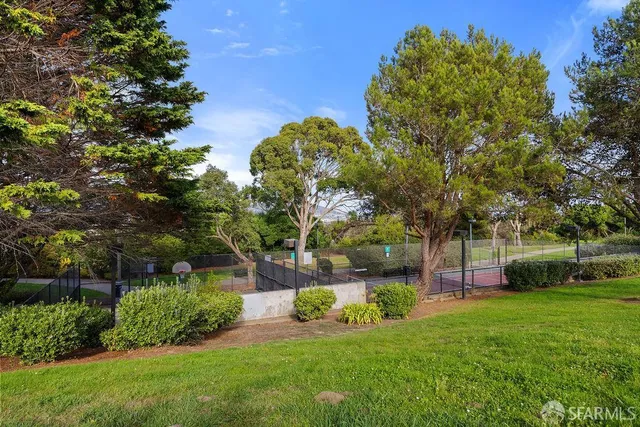 a view of a tree in front of a house