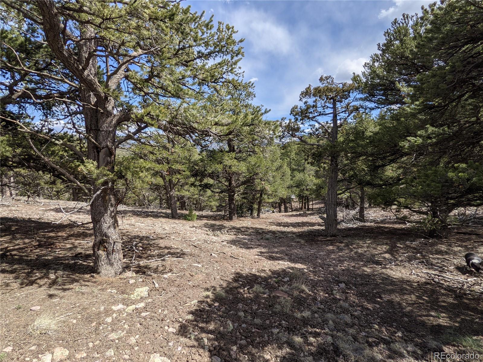 4342 Hyde Road Fort Garland, CO 81133 - Photo 11 of 20 Gallery Image 11