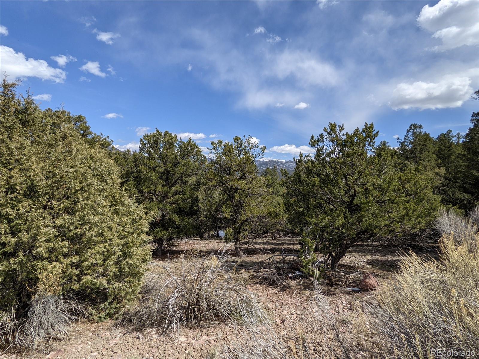 4342 Hyde Road Fort Garland, CO 81133 - Photo 13 of 20 Gallery Image 13