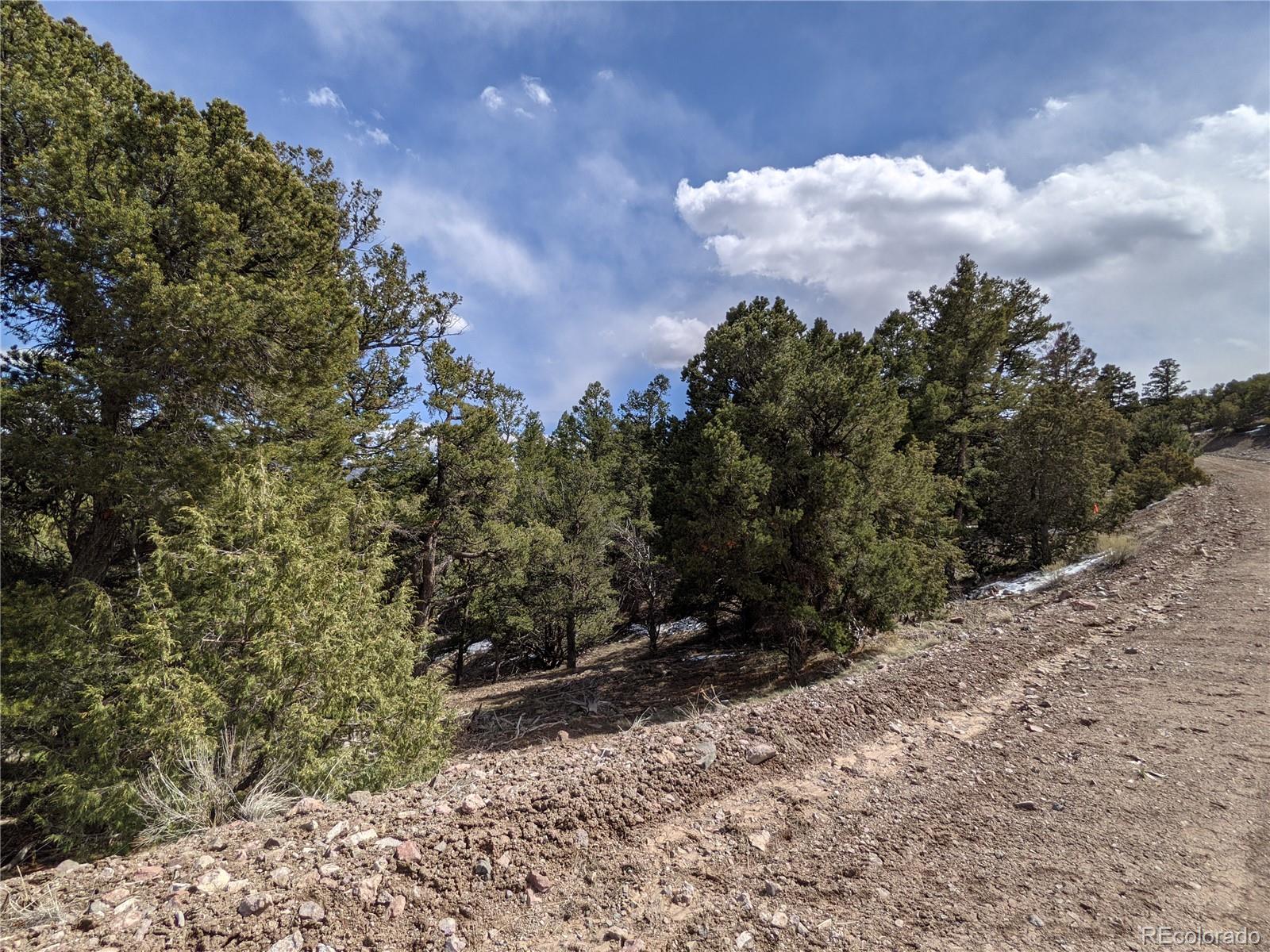 4342 Hyde Road Fort Garland, CO 81133 - Photo 14 of 20 Gallery Image 14
