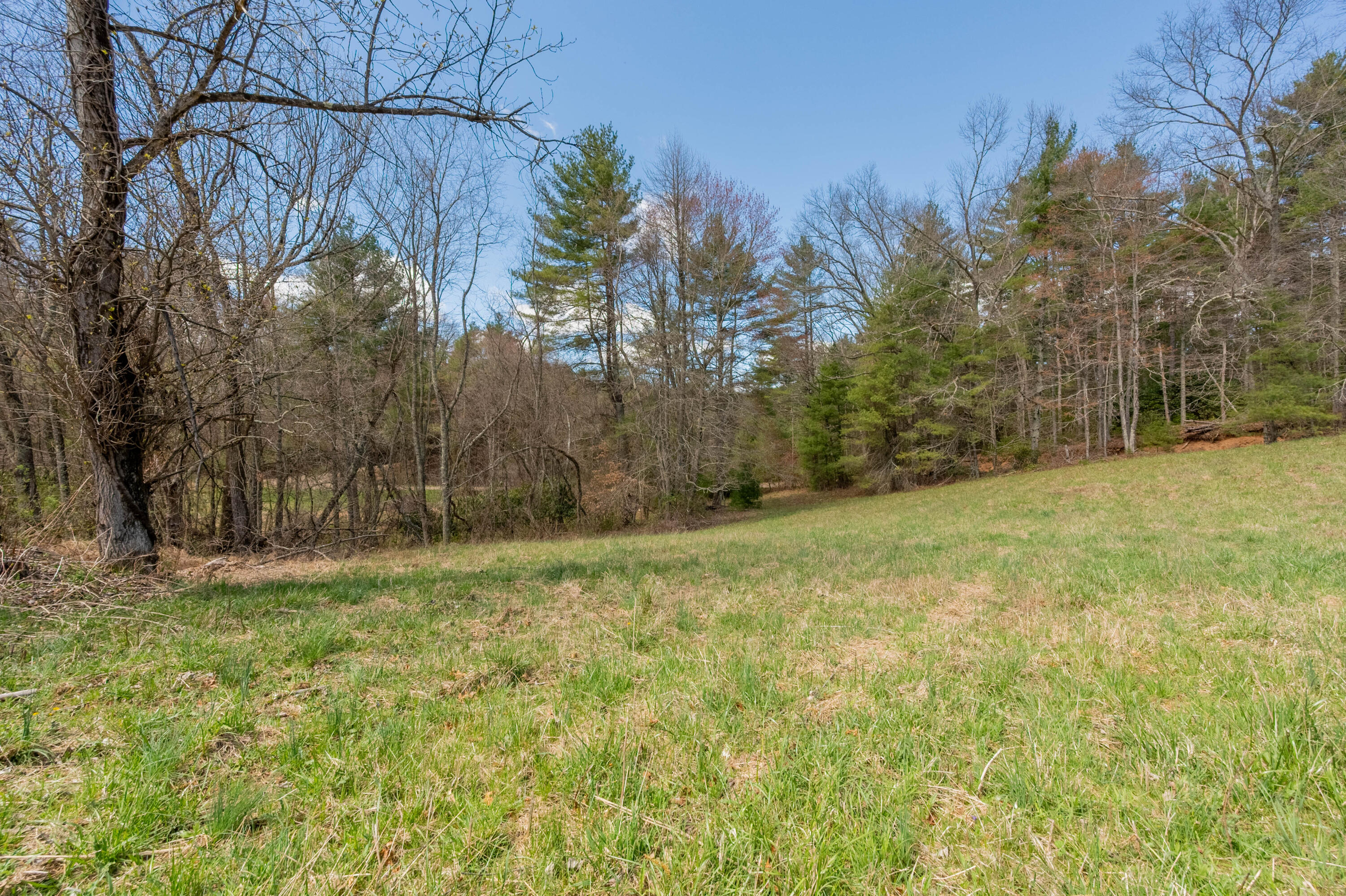 0 Windsor Road Northwest Willis, VA 24380 - Photo 15 of 47 willis-36