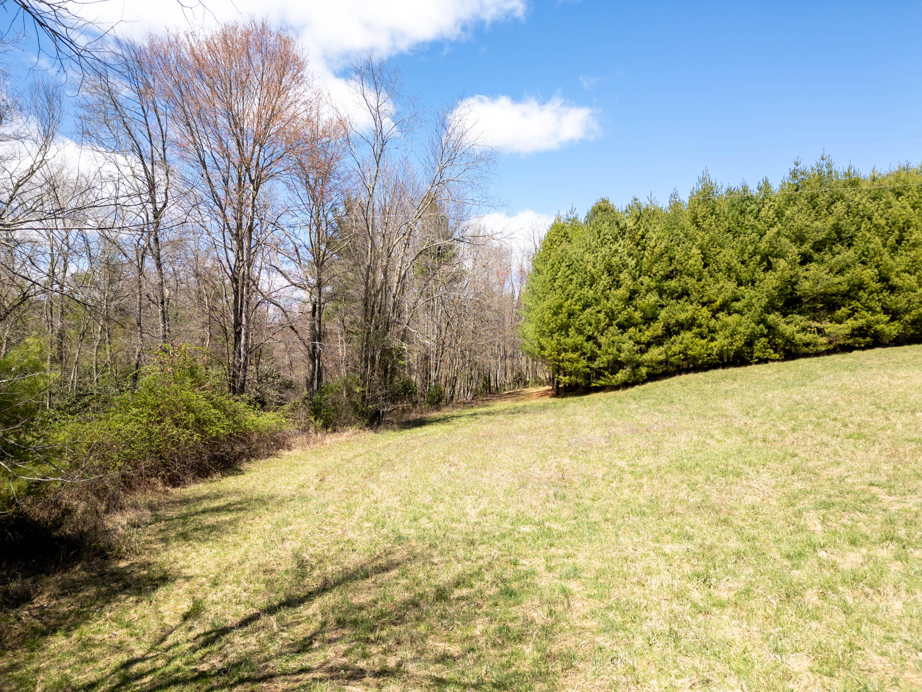 0 Windsor Road Northwest Willis, VA 24380 - Photo 3 of 47 willis-2