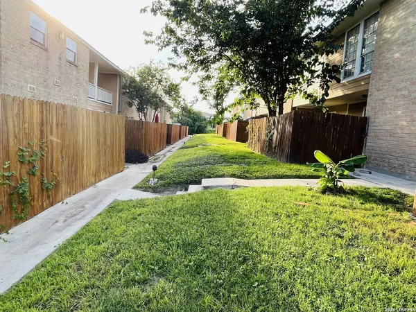 a view of a backyard with a tree